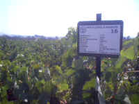 0040[0].JPG (54895 bytes)